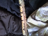 Urgent Help Needed! (photos)